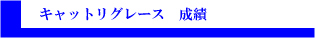 キャットリグレース　成績