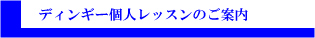 ディンギー個人レッスンのご案内